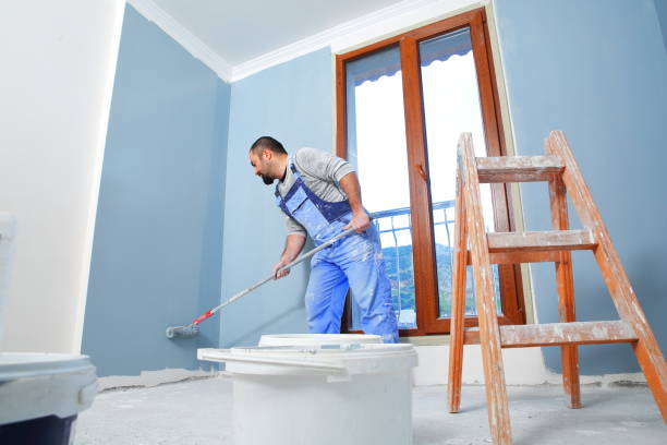 Best Basement Mold Removal  in Baltic, CT