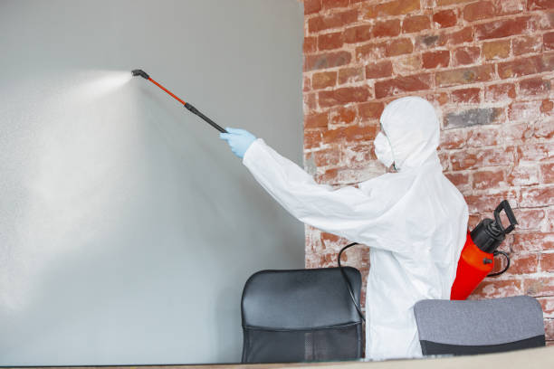 Best Comprehensive Air Testing for Mold Contaminants  in Baltic, CT