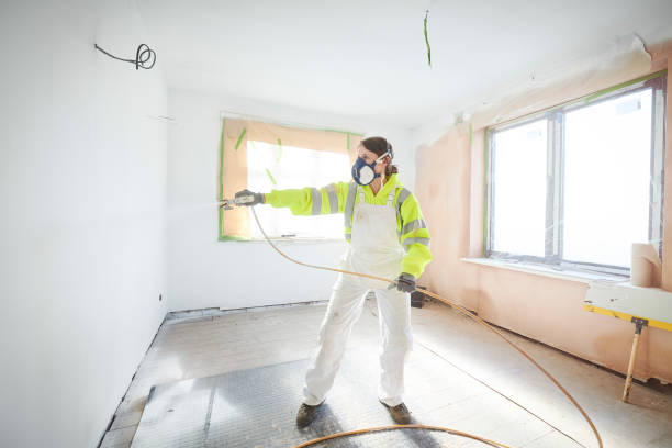 Best Crawl Space Mold Remediation  in Baltic, CT