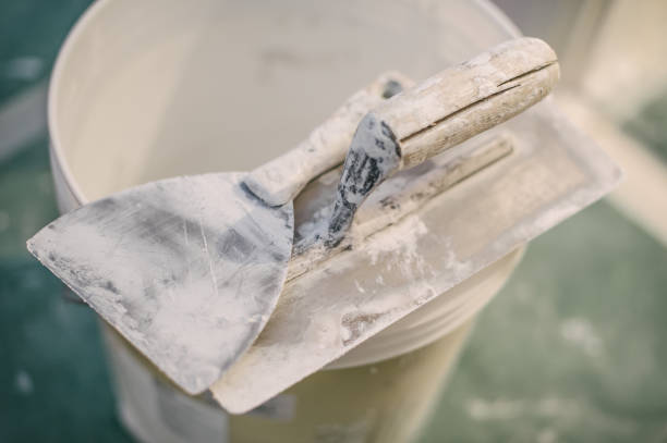 Best Environmental Consulting for Mold Prevention  in Baltic, CT